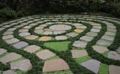 Kyoto Super Dwarf Mondo Grass - 3 Pack Of Pint Pots -Outlet Drip Mingle Store Grass Mondo Super Dwarf 2