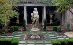 Dwarf Mondo Grass - 32 Pack Of 2.5" Pots -Outlet Drip Mingle Store Picture Mondo Grass Dwarf Pavers