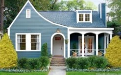 Gold Mop Threadleaf Cypress - 1 Gallon Pot -Outlet Drip Mingle Store chamaecyparis pisifera gold mop cypress 105 1