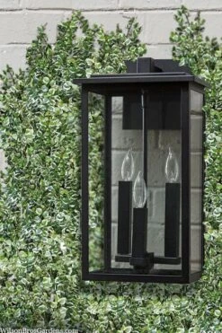 Variegated Creeping Fig (Ficus Pumila 'Variegata') - 10 Pack Of 4" Pint Pots -Outlet Drip Mingle Store ficus pumila variegata creeping fig 102