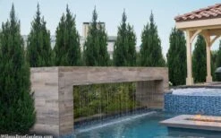 Spartan Juniper - 3 Gallon Pot 11 Spartan Juniper - 3 Gallon Pot -Outlet Drip Mingle Store juniperus chinensis spartan columnar juniper 40 2